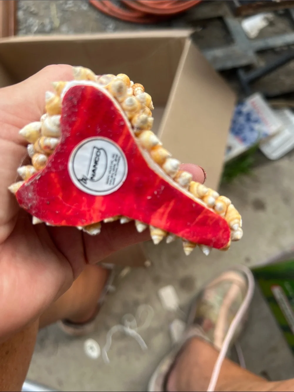 Narco decorative seashell